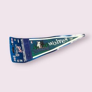 Wincraft Minnesota Timberwolves Basketball Small Blue and Green Pennant